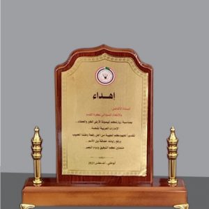 Outstanding Performance Wooden Award Plaque